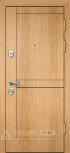 Входная дверь с зеркалом для дачи №49 внешняя - фото