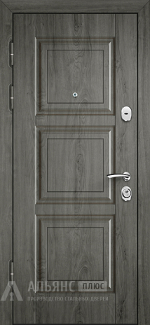 Фото 2 «Входная дверь с каркасом повышенной прочности №43»